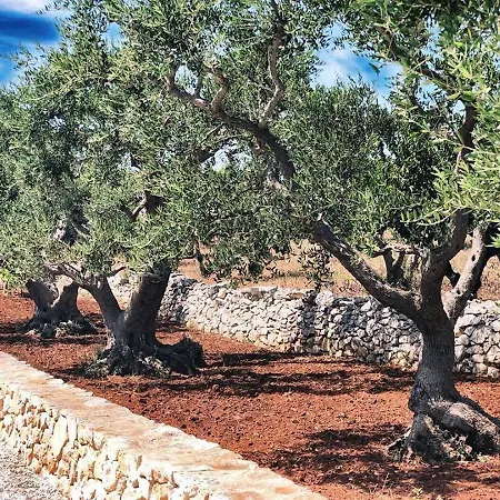 Trulli Caroli Affittacamere *