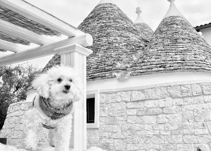 Trulli Caroli Pensjonat Locorotondo