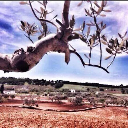 Gasthof Trulli Caroli 3*